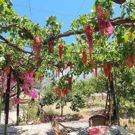 Ktima Ellopia Villa Kolímbia Kültér fotó